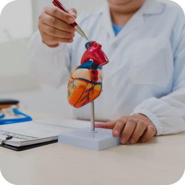 Cardiología